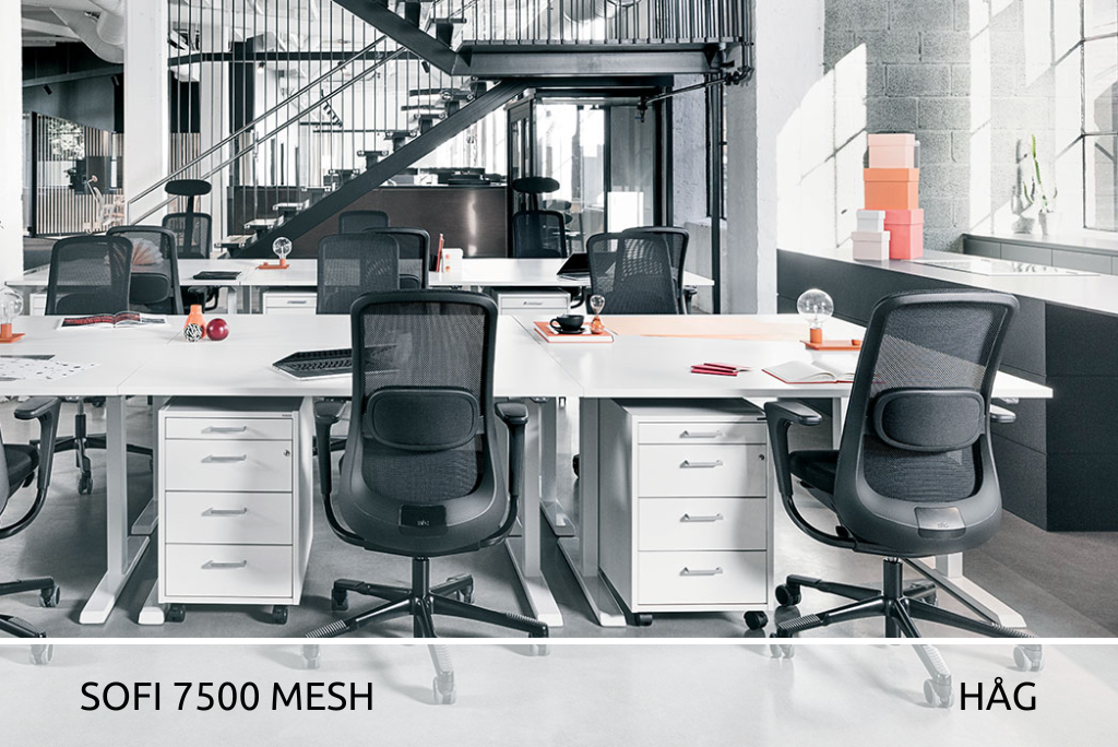 Foto: Großraumbüro mit ergonomisch eingerichteten Arbeitsplätzen, die Stühle sind "Sofi 7500 Mesh" der Firma HAG